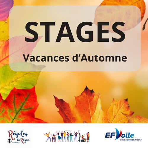 stages automne